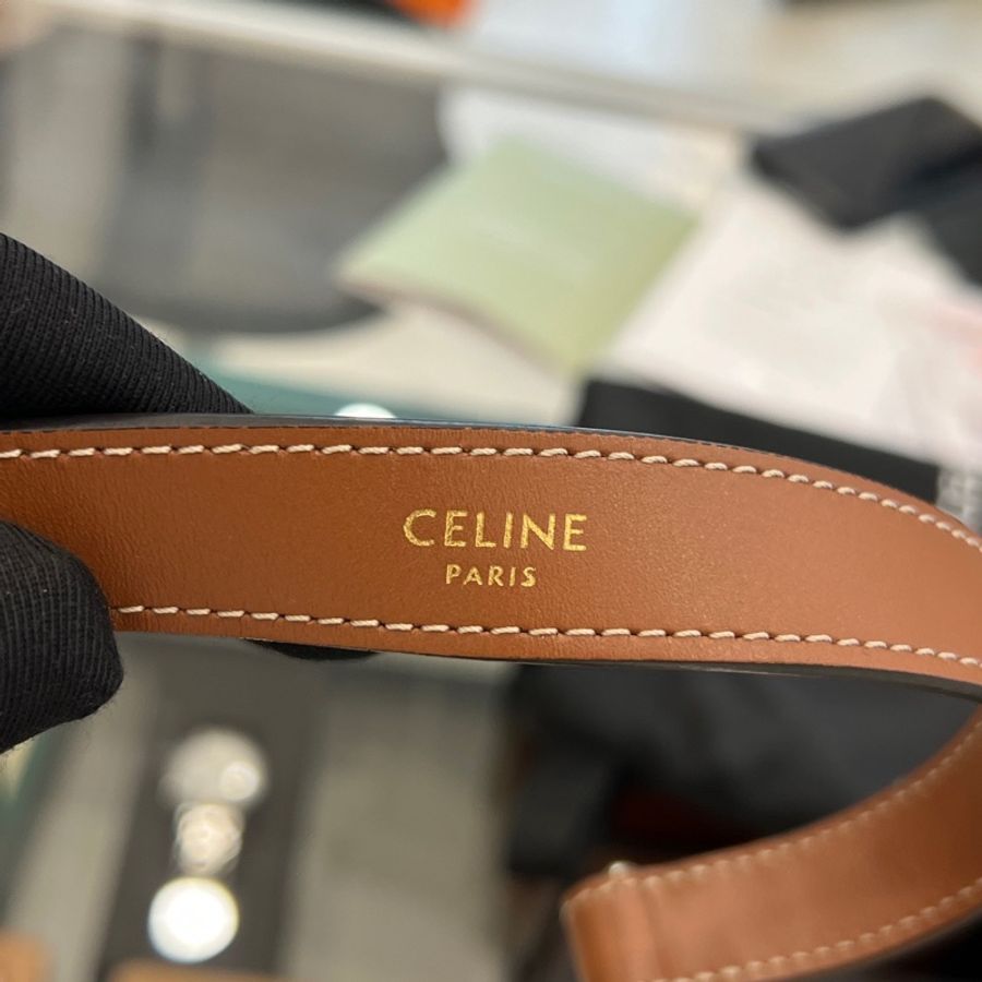 Celine 賽琳 AVA TRIOMPHE老花中号腋下包-4