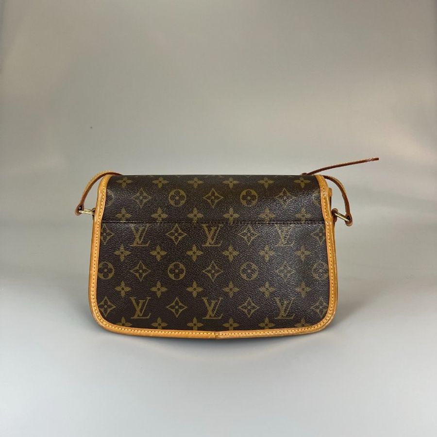 LV M42250 老花法棍包-1
