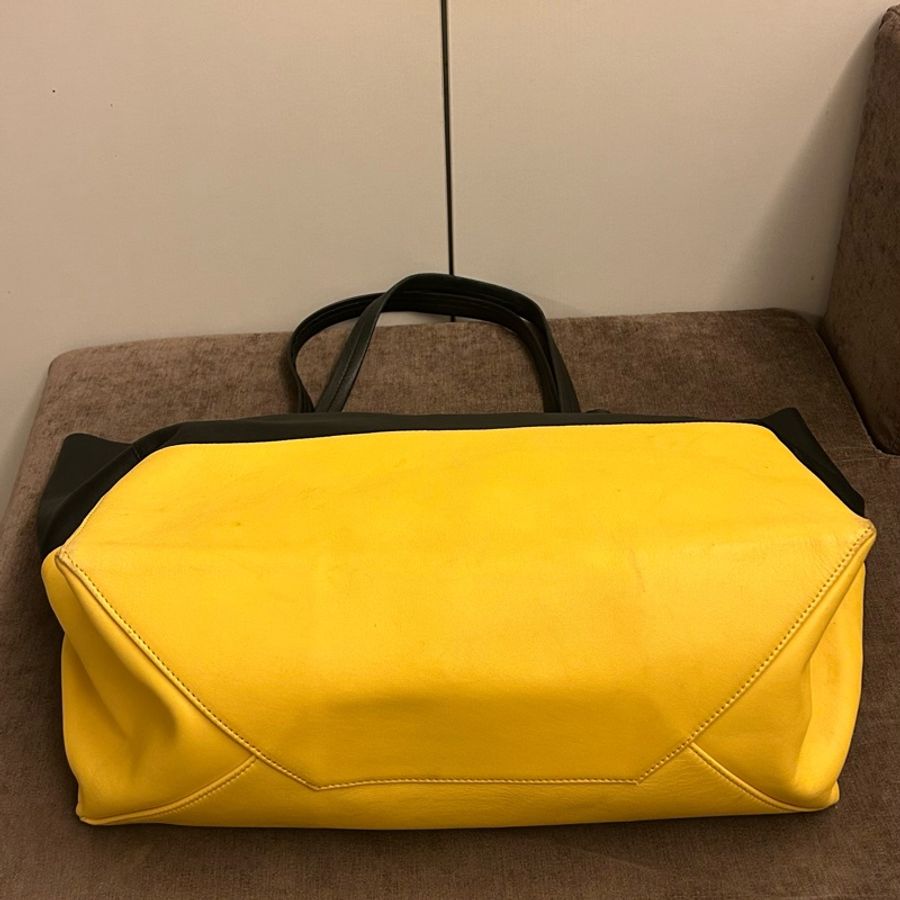 Celine cabas tote bicolor 靚色 拼色皮革托特包-2