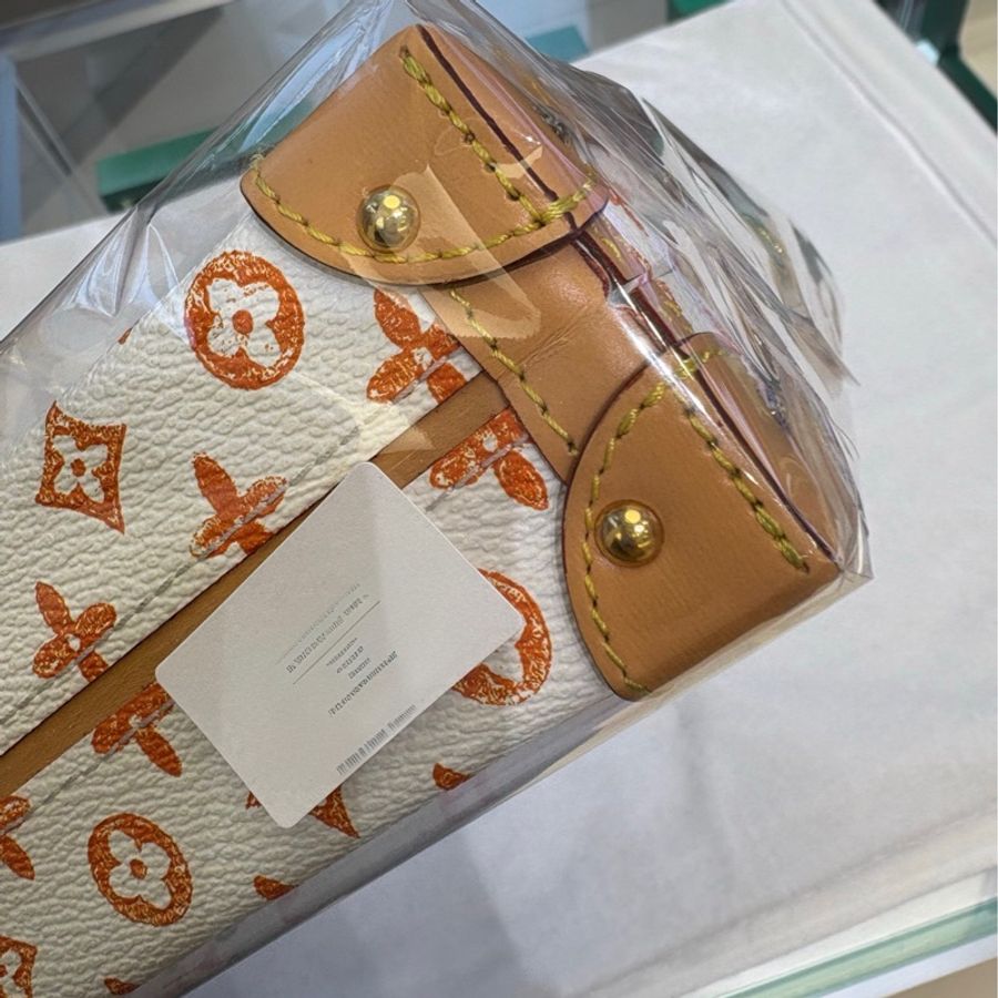 LV LOUIS VUITTON貓狗限定白色硬盒子肩背包,晶片款-4