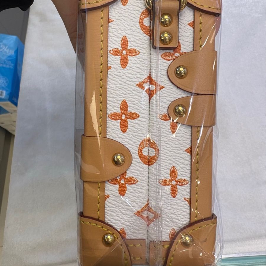 LV LOUIS VUITTON貓狗限定白色硬盒子肩背包,晶片款-7