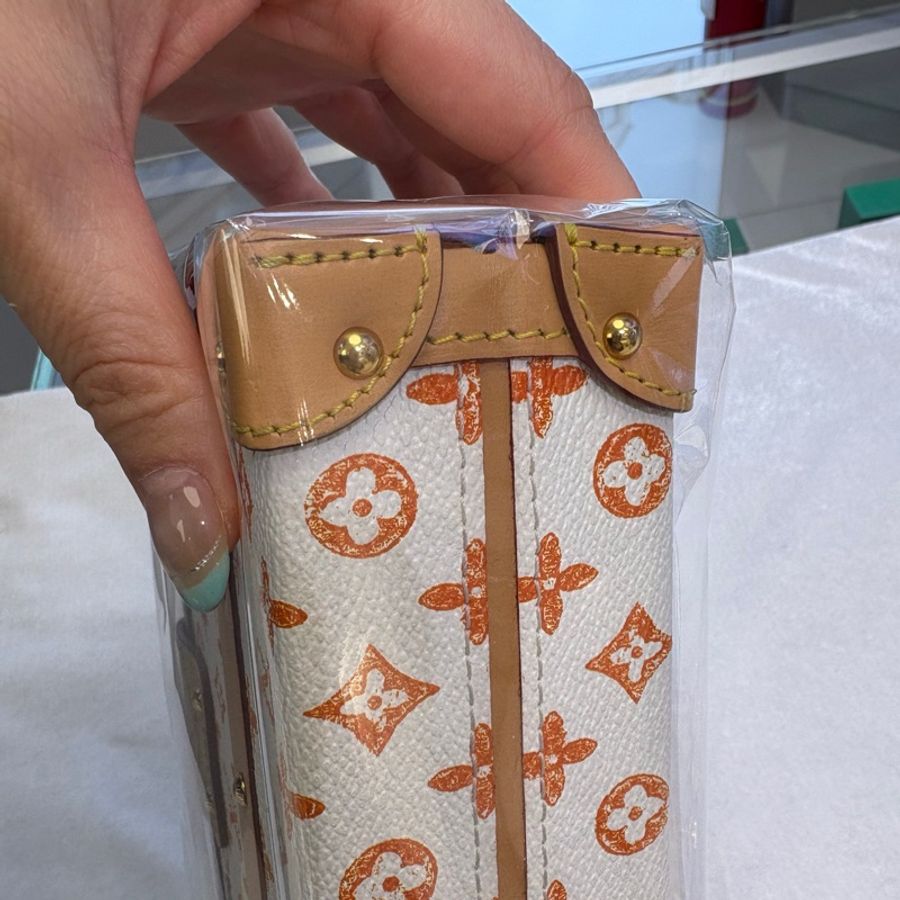 LV LOUIS VUITTON貓狗限定白色硬盒子肩背包,晶片款-9