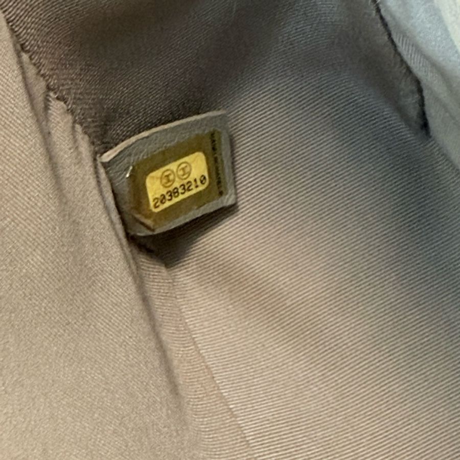 Chanel Boy 25 稀有乾燥玫瑰粉色-18