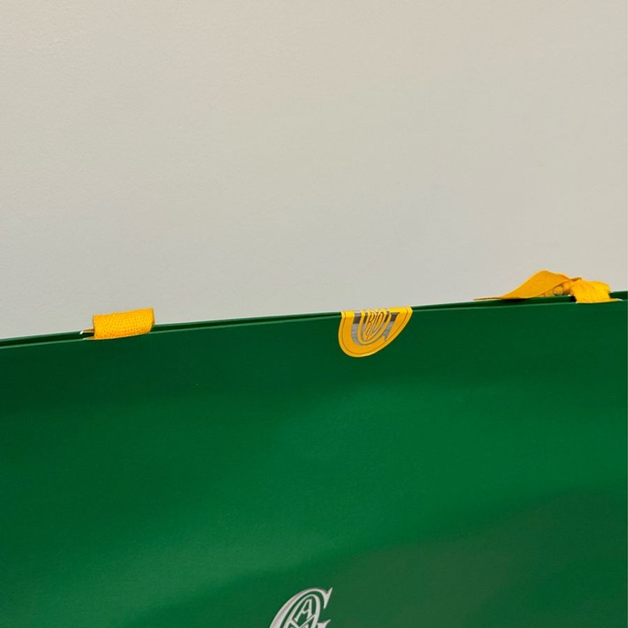 Goyard Hobo PM-1