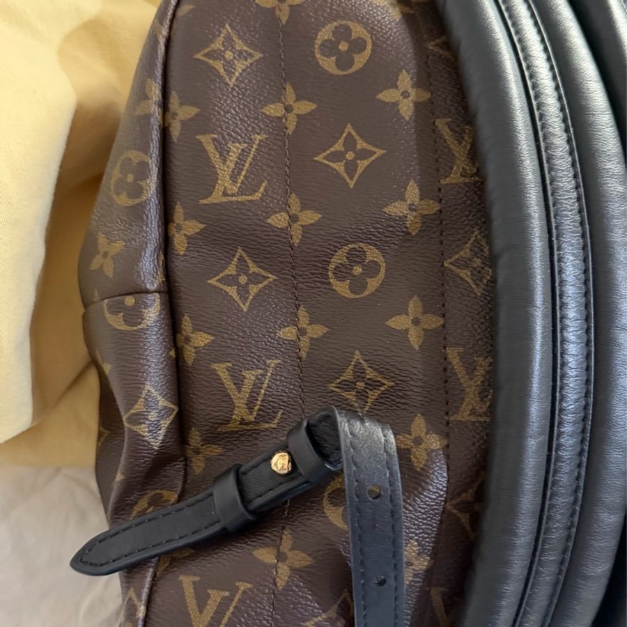 LV後背包 Palm Springs-5