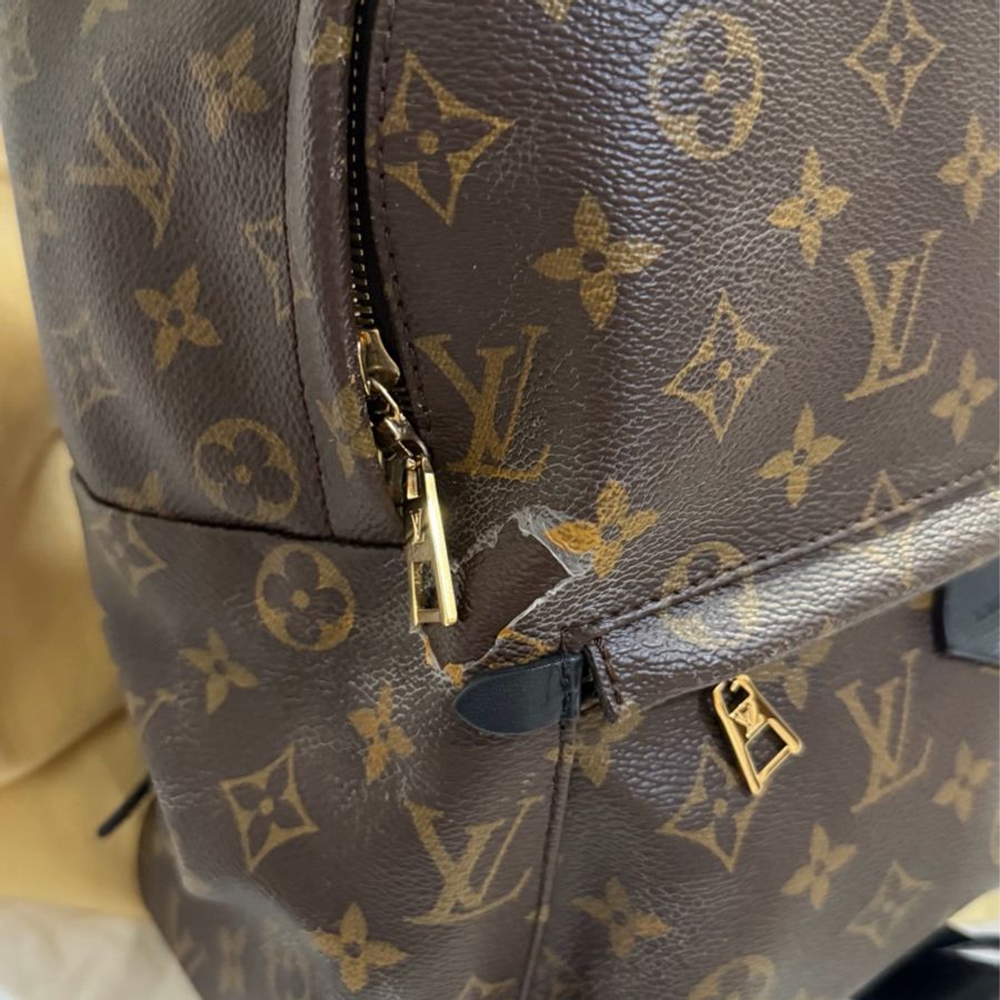 LV後背包 Palm Springs-7