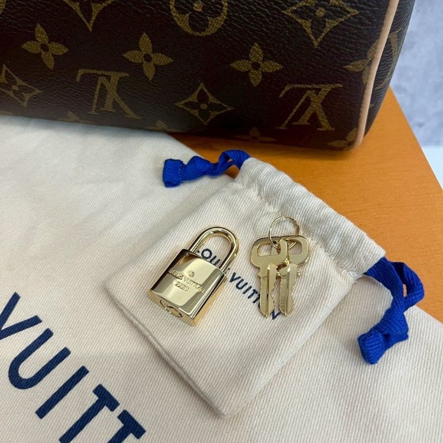 Louis Vuitton LV speedy20晶片款-19