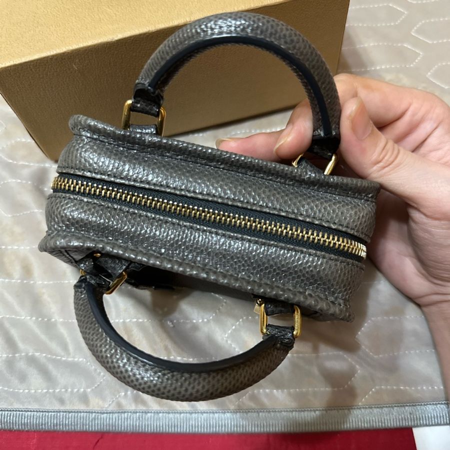 Loewe水蛇皮 迷你包-6