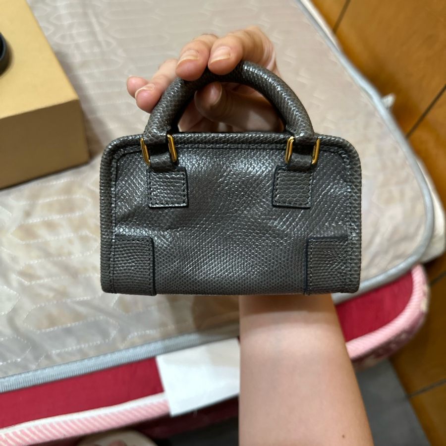 Loewe水蛇皮 迷你包-9