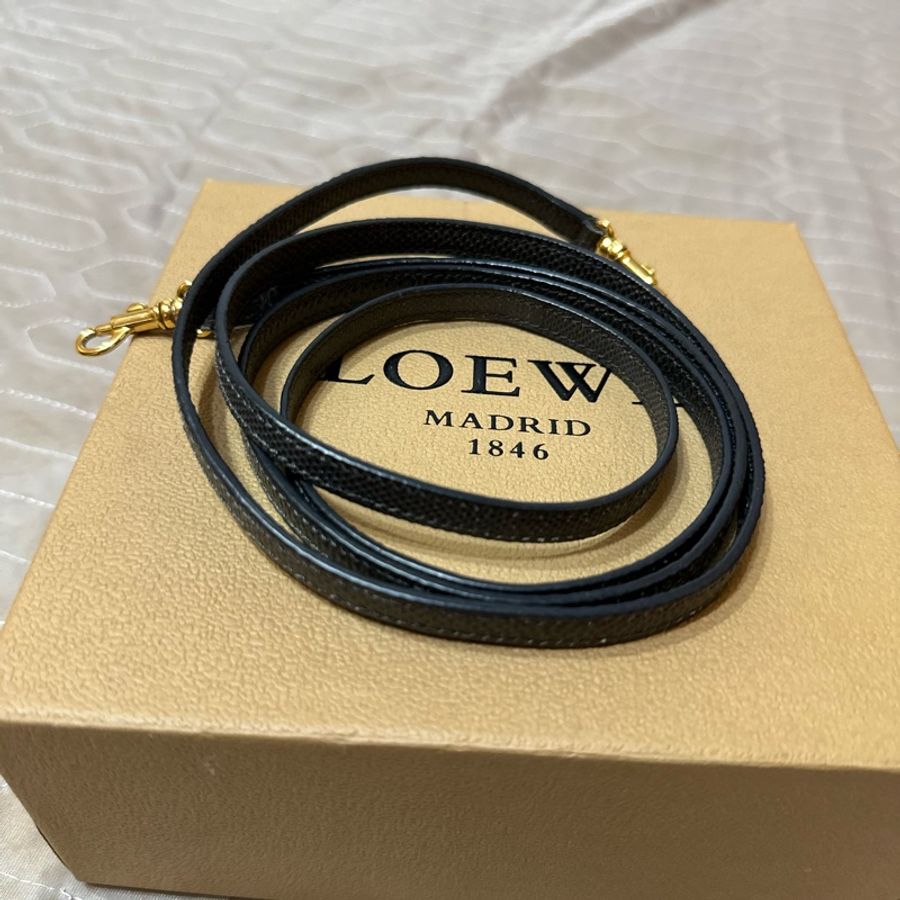 Loewe水蛇皮 迷你包-17