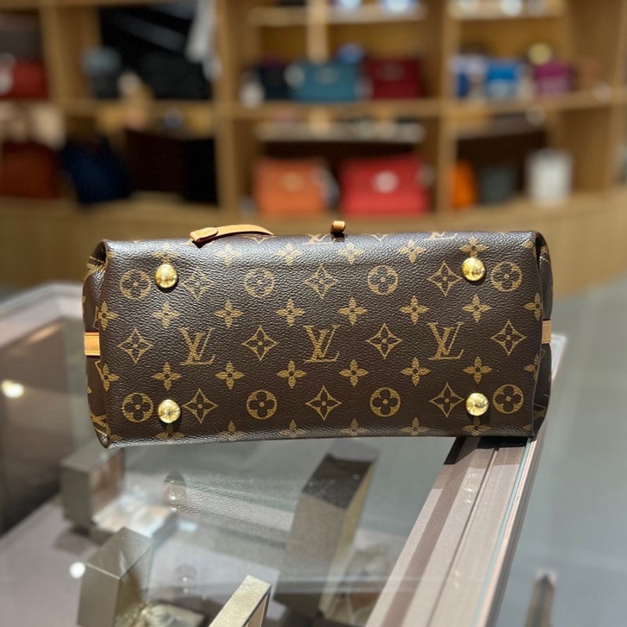 lv路易威登carryall小号老花芯片单肩包-4
