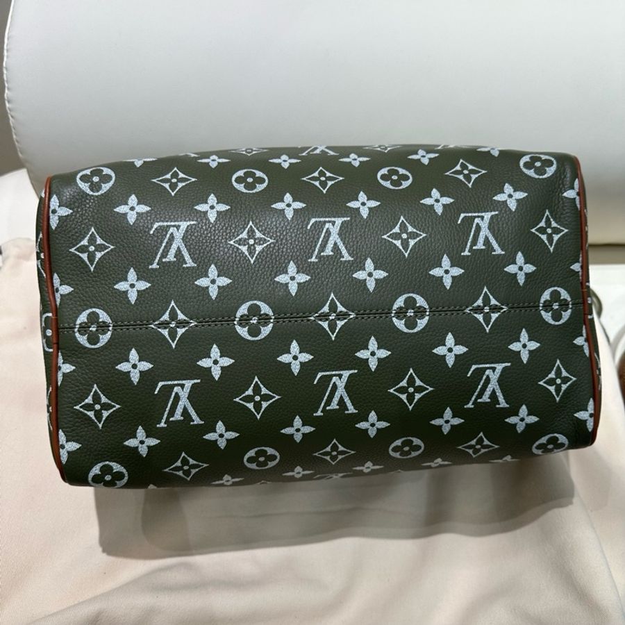 🆕 閒置新✨LV Speedy P9 Bandoulière30菲董聯名FW25 煎茶色枕頭包斜挎包手提包 金色五金 ❤️正品保障-4