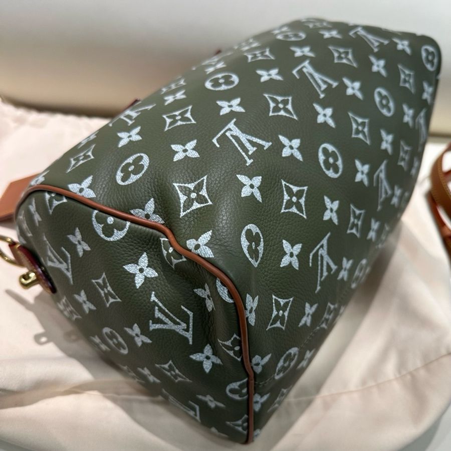 🆕 閒置新✨LV Speedy P9 Bandoulière30菲董聯名FW25 煎茶色枕頭包斜挎包手提包 金色五金 ❤️正品保障-6