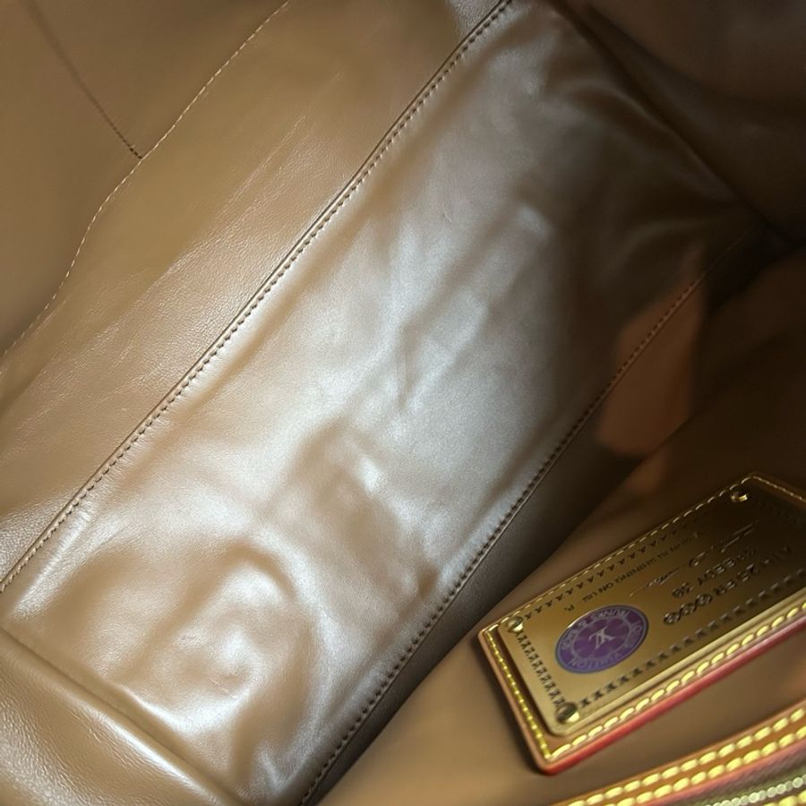 🆕 閒置新✨LV Speedy P9 Bandoulière30菲董聯名FW25 煎茶色枕頭包斜挎包手提包 金色五金 ❤️正品保障-8
