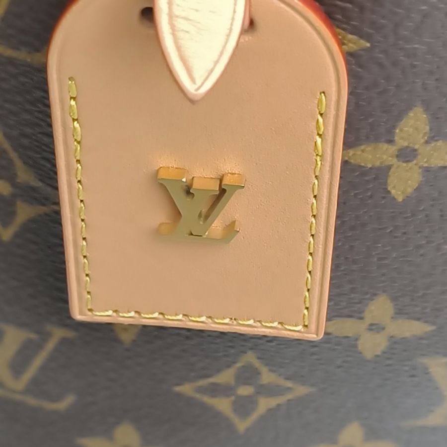 LOUIS VUITTON CARRYALL中號39配子袋老花PVC金扣晶片-4