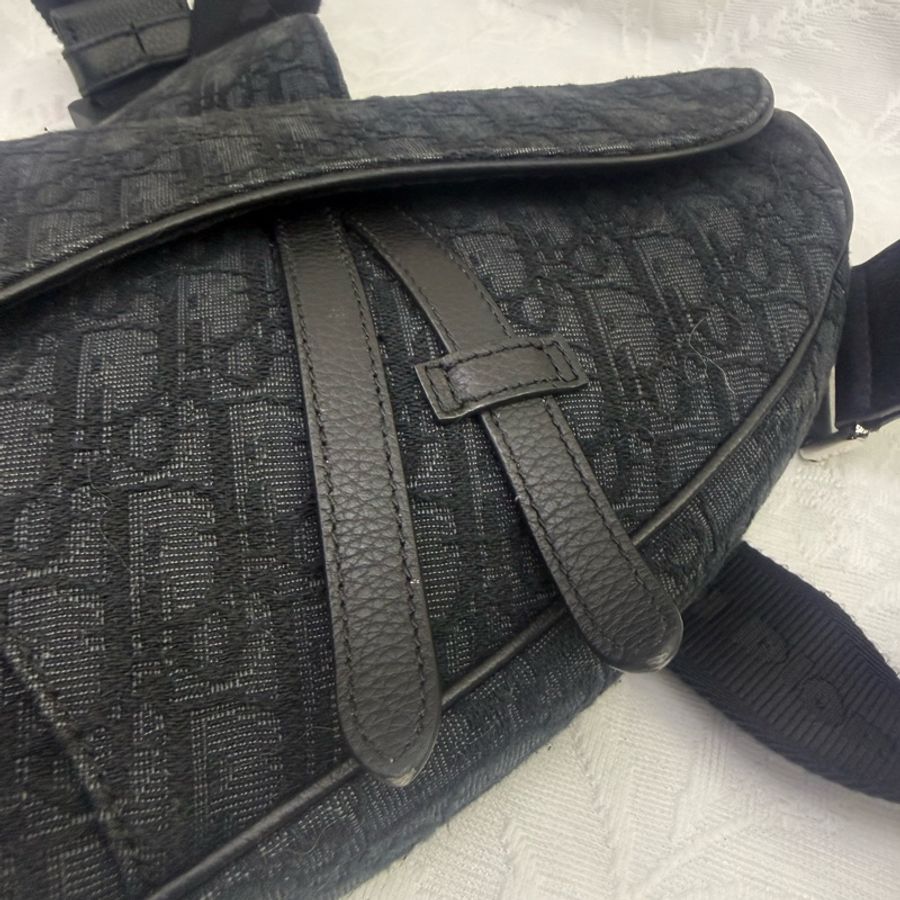 Dior Saddle Oblique Bag-5