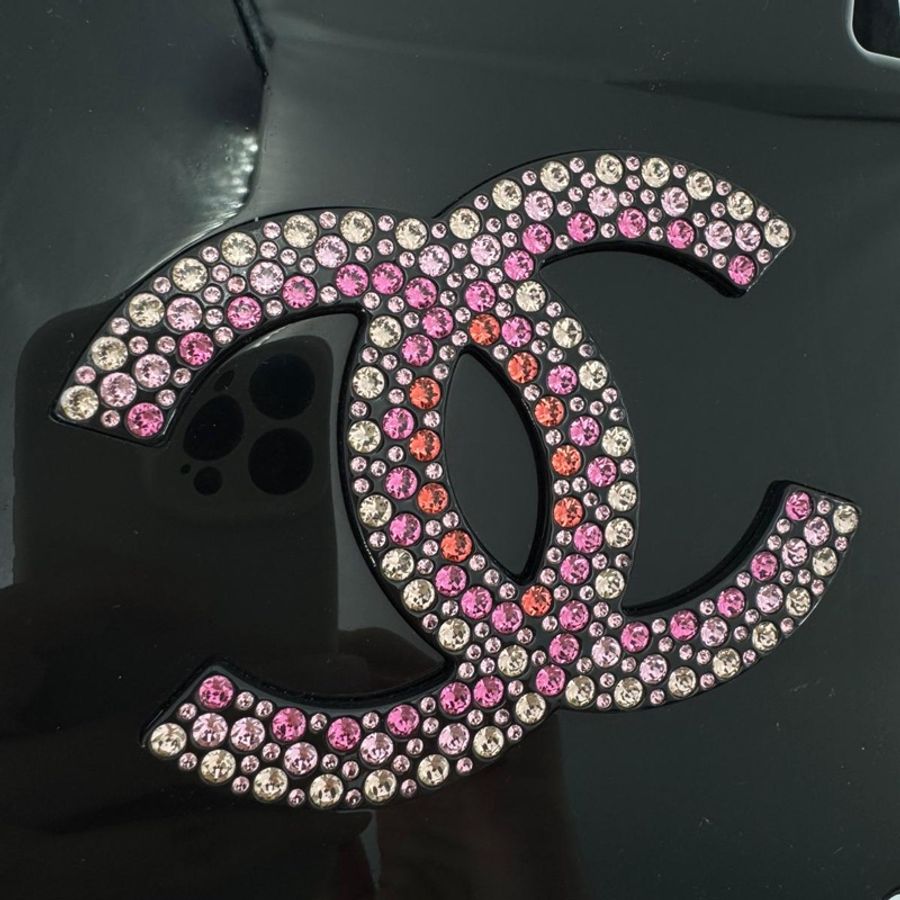 Chanel 2018 Rhinestone Plexiglass Strass Pink and Multicoloured Camellia Minaudiere Clutch Bag-5