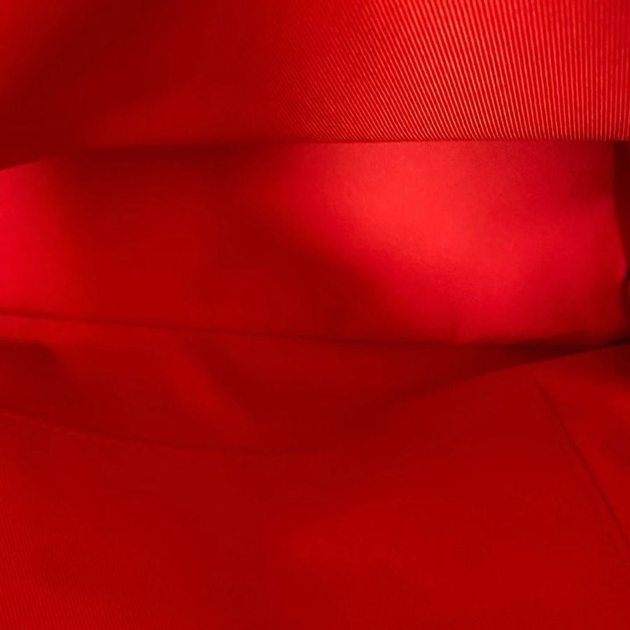 LV christopher水波紋後背包背包 芯片款 紅色牛皮 33*42*13 99新配件行李牌 塵袋-8
