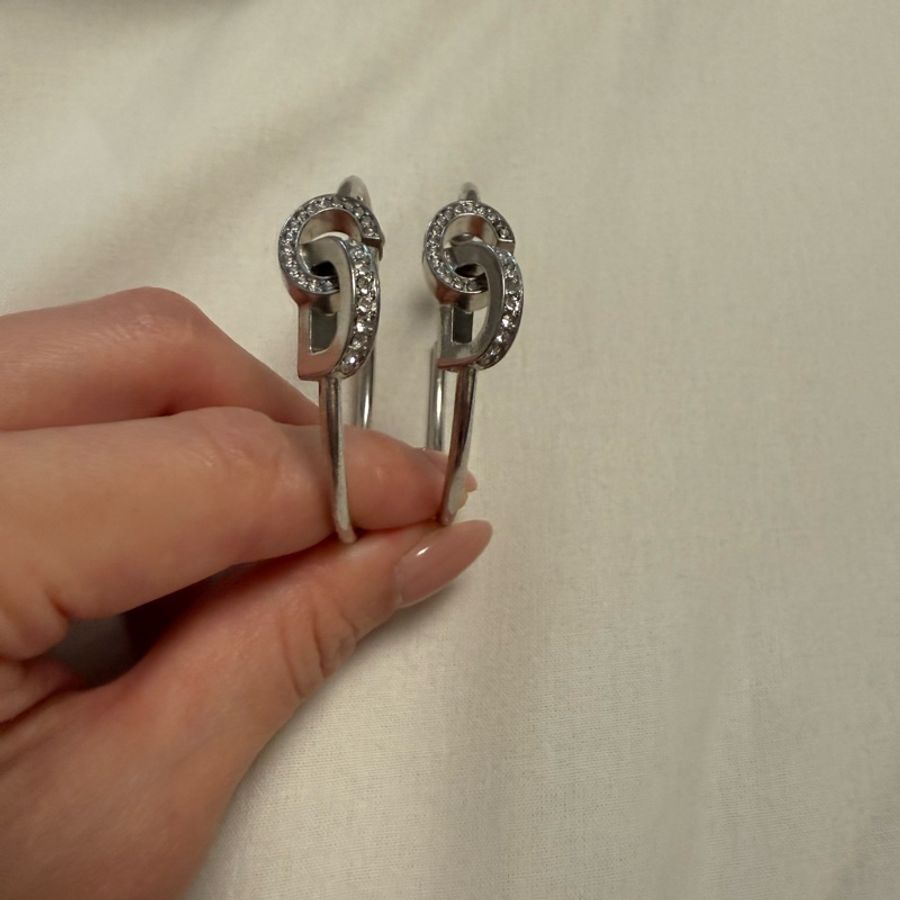 Christian Dior earrings-0