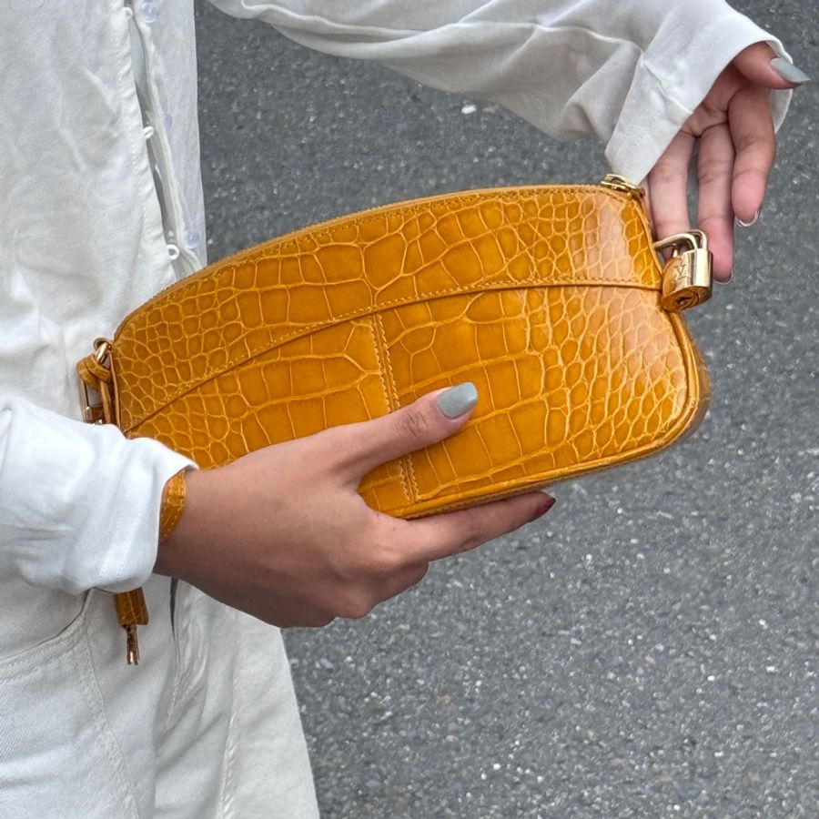 【LV真鱷魚皮🐊】 LV Crocodile 真鱷魚皮 手拿包 (專櫃價55萬台幣)-17