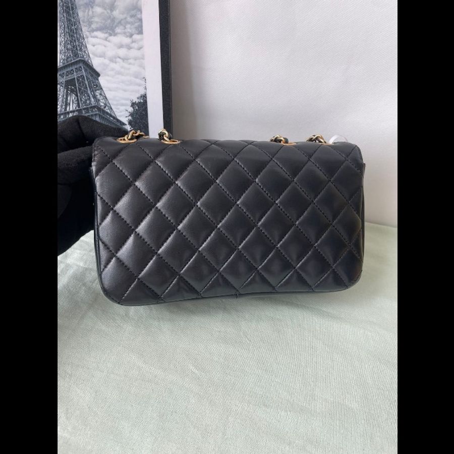 Chanel double Flap bag-3