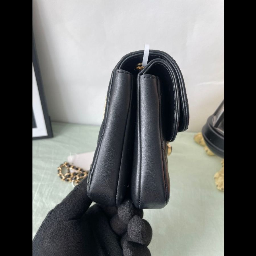 Chanel double Flap bag-9