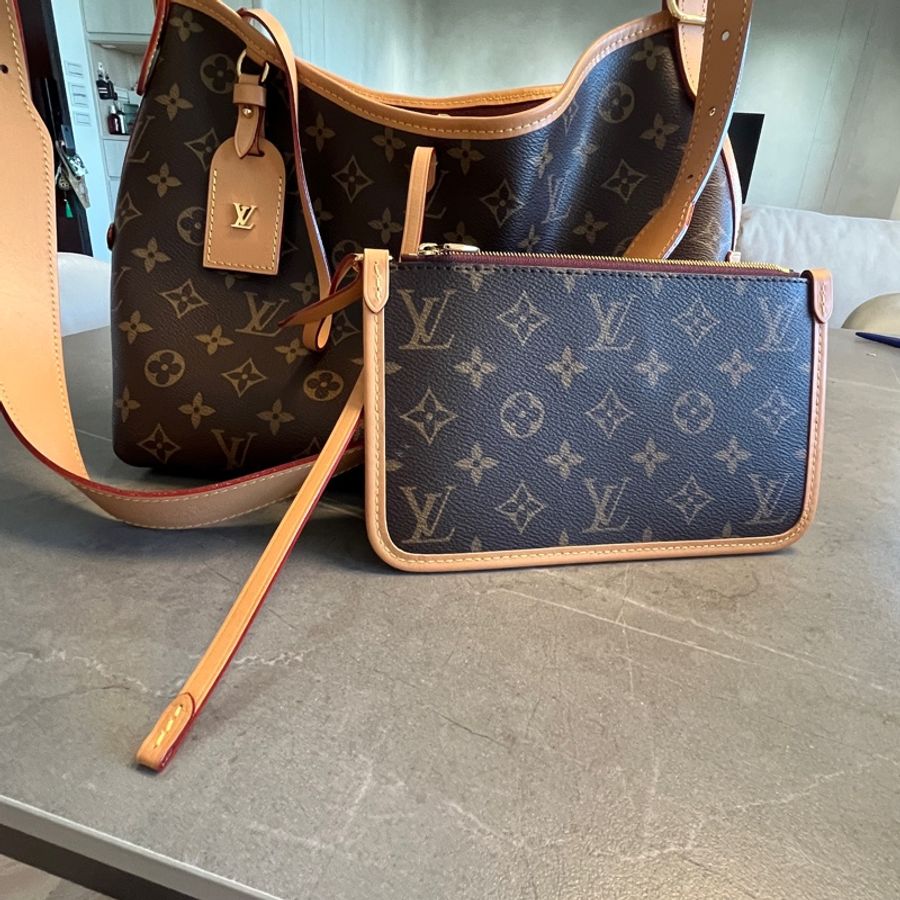 經典熱銷 LV carryall PM 晶片款 老花-0