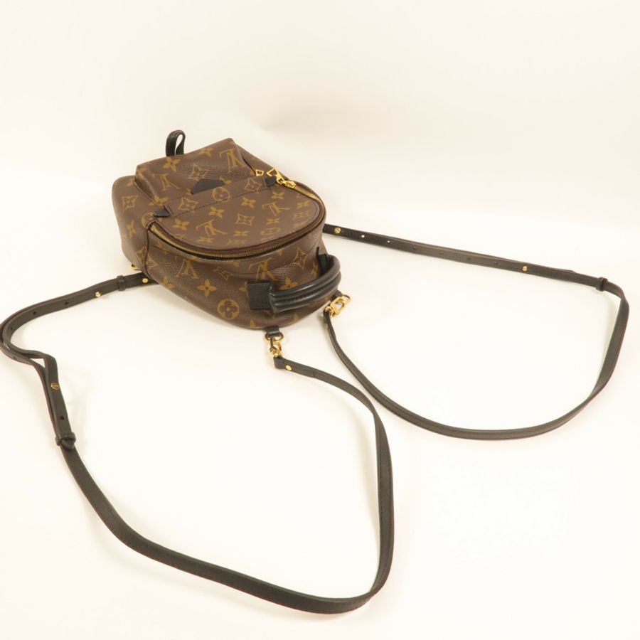 LOUIS VUITTON Monogram Palm Springs Mini Backpack金扣背包-7