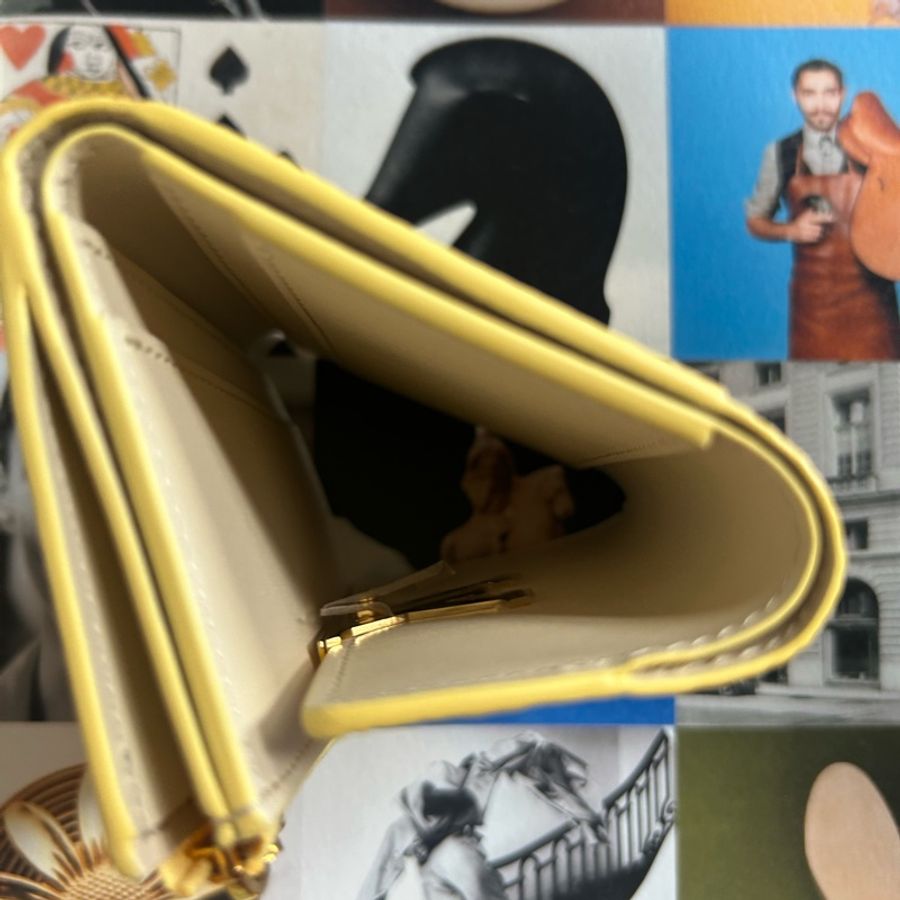 LV 日本限定色capucines wallet-3