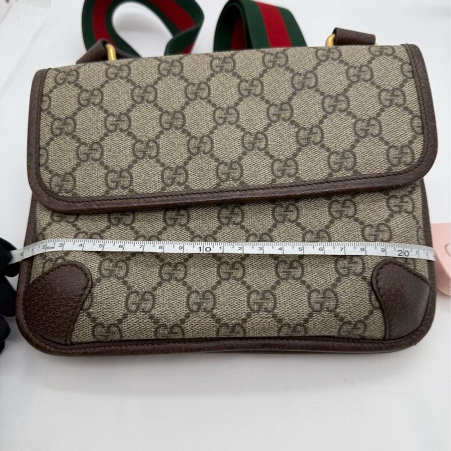 GUCCI古馳 雙面虎頭單肩斜挎郵差包包 黑標024開頭 尺寸:22×16.5×4cm-3