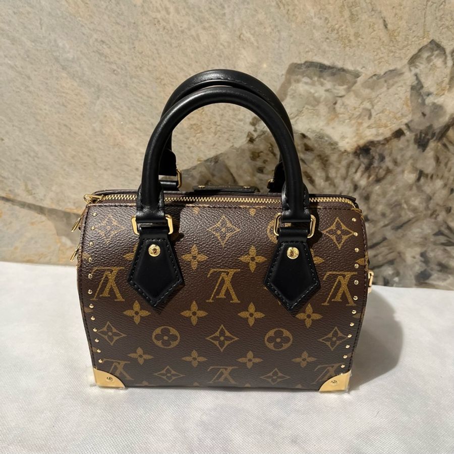Louis Vuitton Monogram Speedy Trunk 20-2
