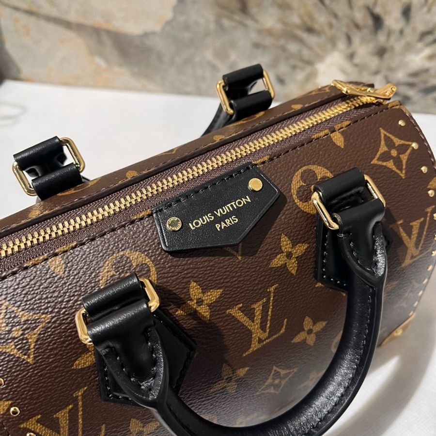 Louis Vuitton Monogram Speedy Trunk 20-7