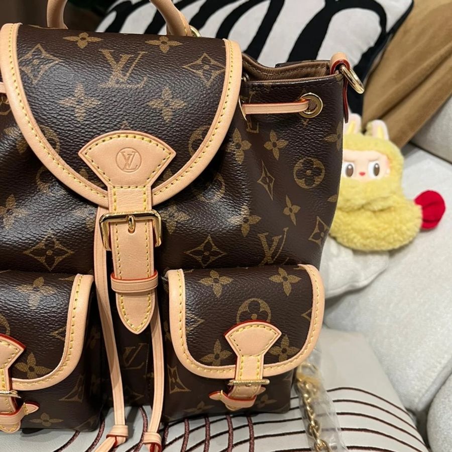 LV Excursion PM Backpack Monogram M46932-2