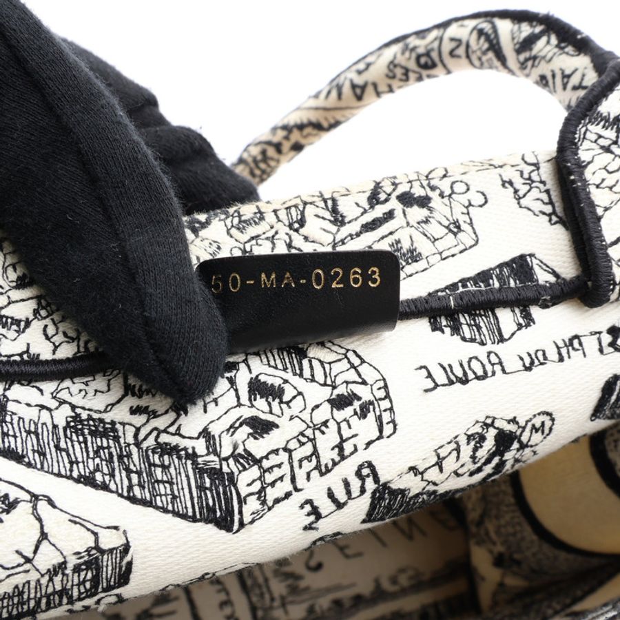 白/黑色 帆布 Book Tote M 巴黎地圖款 肩背包【Dior 迪奧】 M1296ZOMP-4
