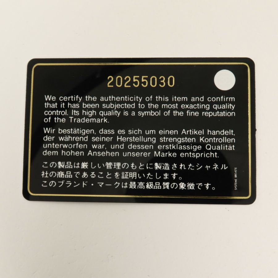CHANEL 羊皮皮革Large Classic鏈帶肩背袋-9