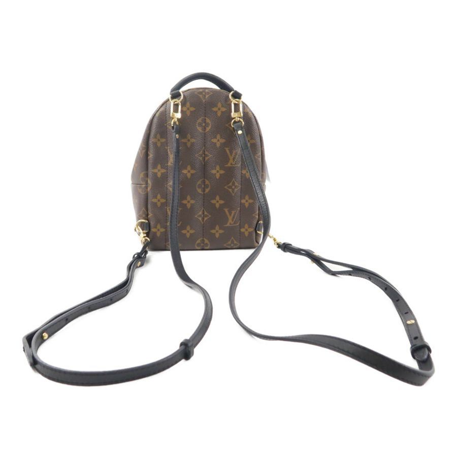 LOUIS VUITTON Monogram Palm Springs Mini背包-1