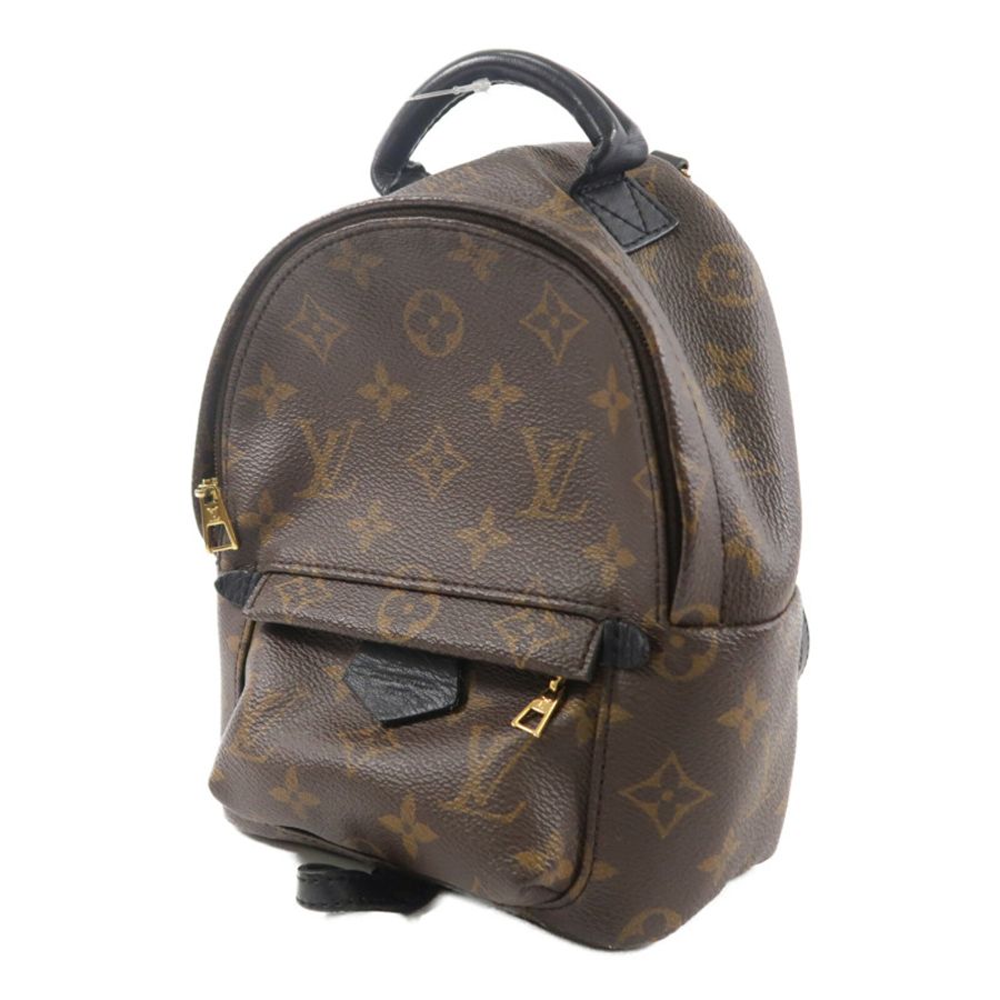 LOUIS VUITTON Monogram Palm Springs Mini背包-2