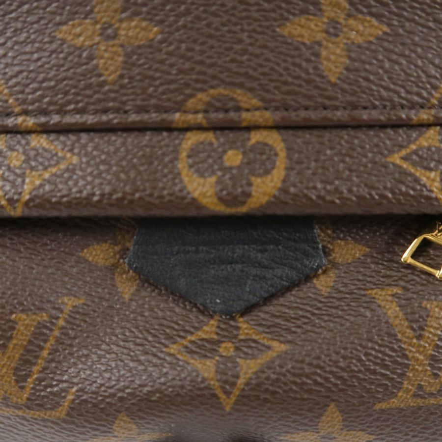 LOUIS VUITTON Monogram Palm Springs Mini背包-6