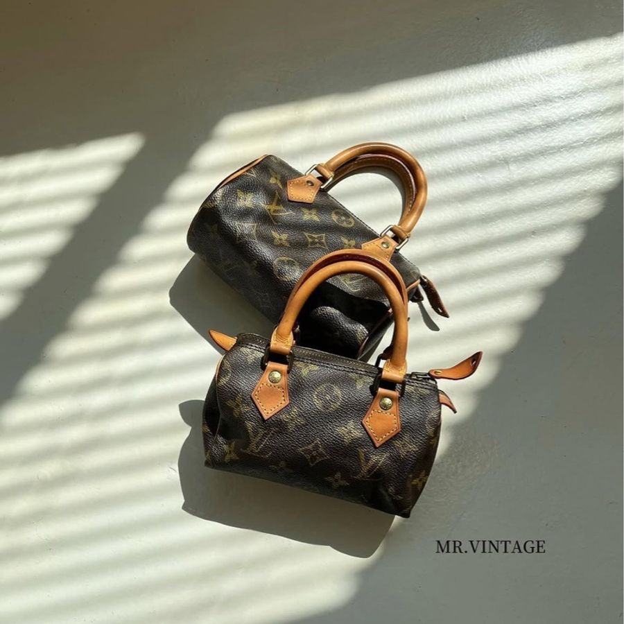 🏷️ Louis Vuitton speedy nano vintage-1