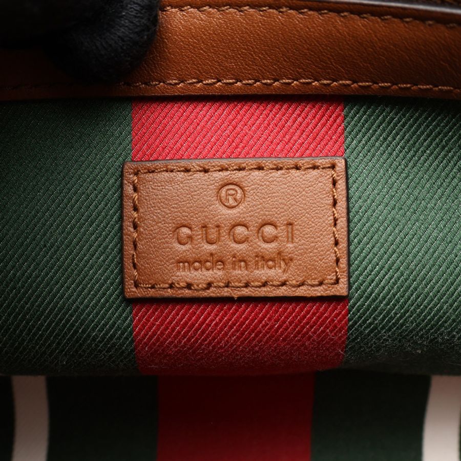 淺棕色 原花帆布 GG Emblem Medium 兩用包【GUCCI 古馳】 815214-3