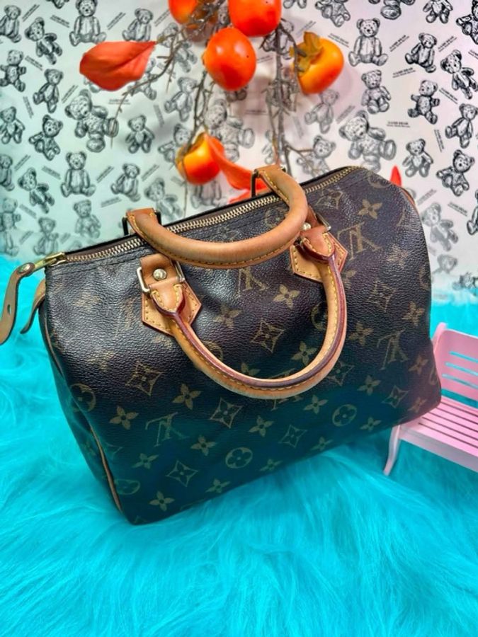 LV 經典 Speedy 25 波士頓包-5