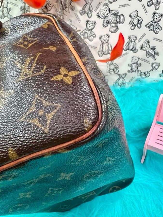 LV 經典 Speedy 25 波士頓包-37