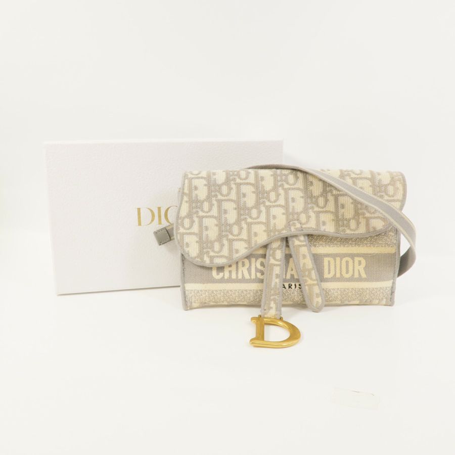Dior 帆布Saddle Slim Pouch肩背袋-10