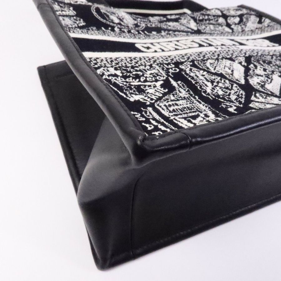 Dior 帆布Book Tote Small手挽袋-11