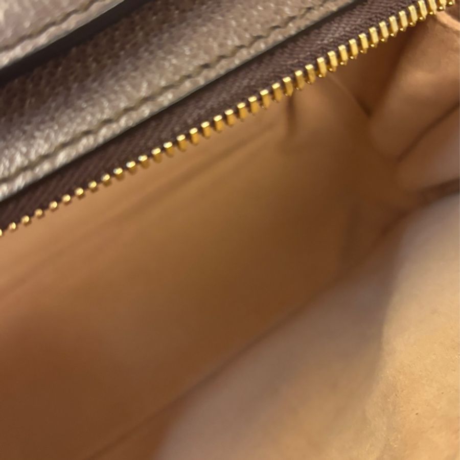 Ophidia #Gucci 相機包-18