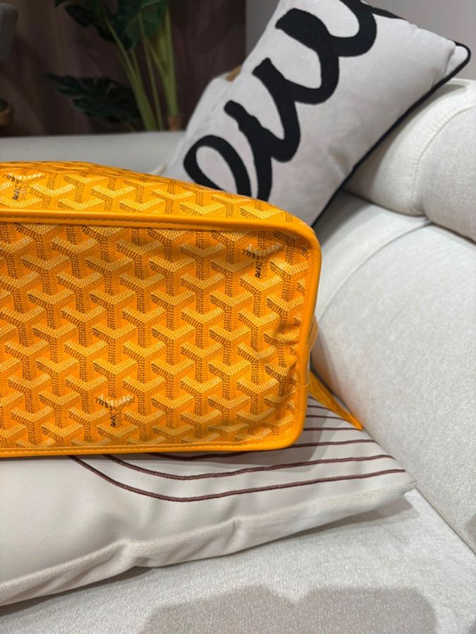 Goyard Anjou pm tote-9