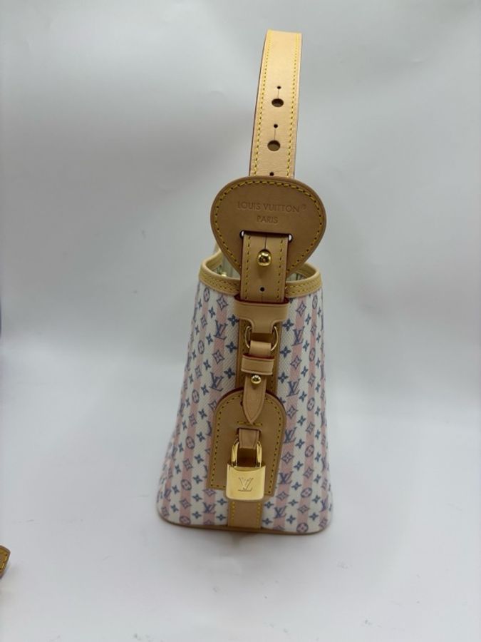 LOUIS VUITTON 路易威登All In BB 塗層帆布-3