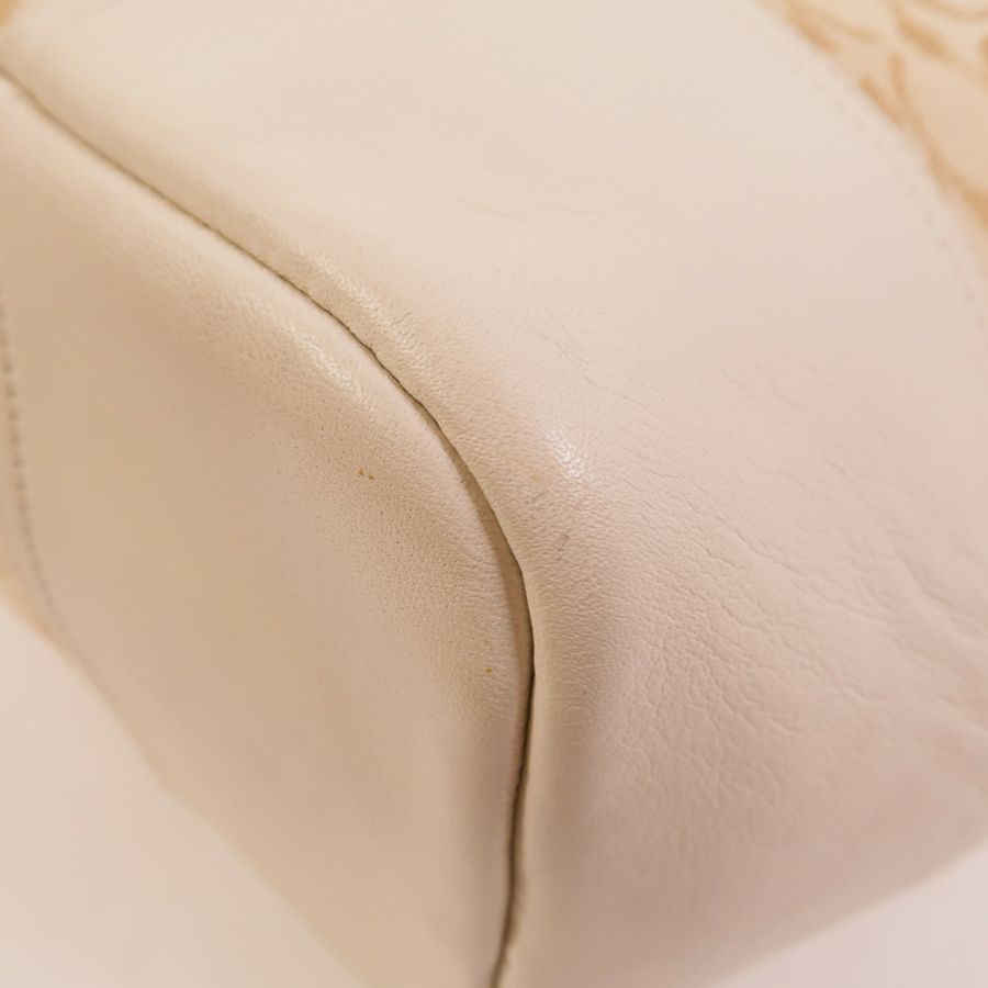 COACH 帆布Tote Bag手挽肩背兩用袋-12