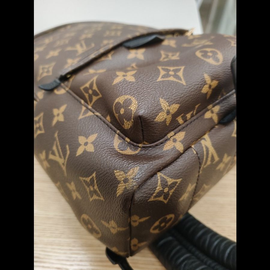 Lv Backpack small-6