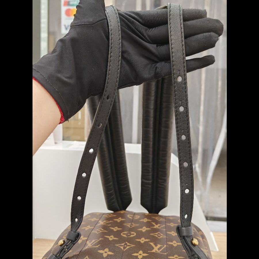 Lv Backpack small-16
